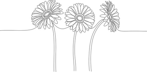 Three dandelion flowers isolated on transparent background © FARZANAAKTER