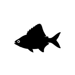 fish vector illustration