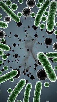 Microscopic view of bacteria cells and germs