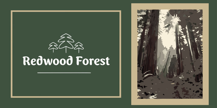 U.S, USA, US, United States - Redwood Forest California &mdash; Majestic Tall Trees & Scenic Woodland Illustration | Rustic Nature Wall Art Print | Vintage‑Style Outdoor Decor | Digital Download

