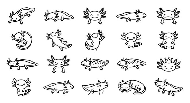 Collection of axolotl line art illustrations in various poses, isolated on a white background.