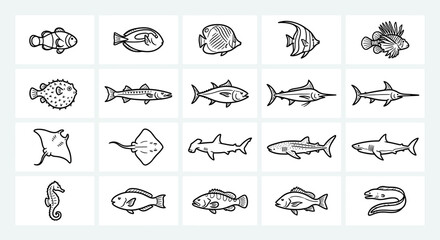A collection of various hand-drawn illustrations of diverse marine fish species.