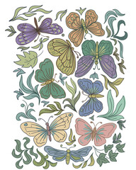Fototapeta premium Butterflies insects animals nature plants leaves and flowers hand drawn watercolor light airy set background colorful