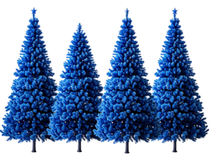 Four stylized sapphire blue christmas trees in sequential scale, symmetrical and dens