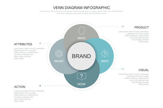 brand strategy infographic chart template for business  parts, options, presentation with venn diagram elements vector illustration.