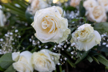 White roses and baby's breath floral arrangement