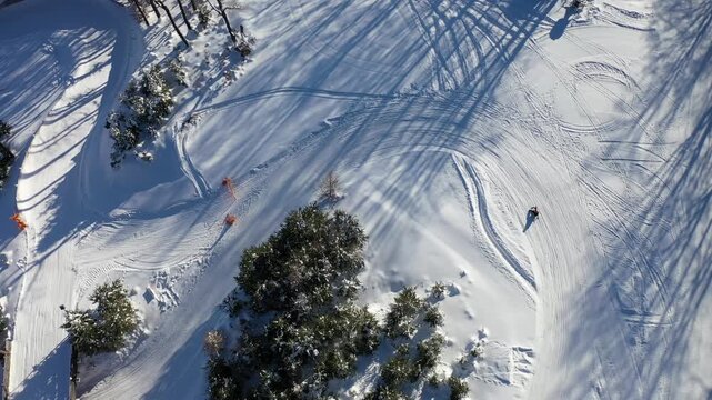 Zimowe zjazdy na sankach.