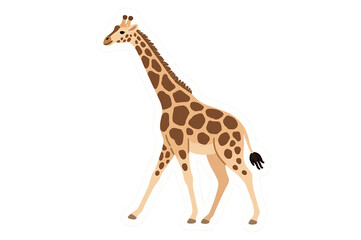 Fototapeta premium Giraffe illustration, african animal clip art