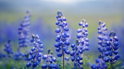 Obraz premium beautiful little blue flowers in the middle of a green valley generative ai