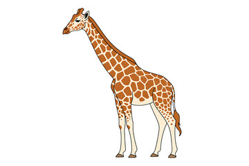 Fototapeta premium Cartoon giraffe with brown spots and long neck