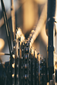 bicycle chain and sprockets
