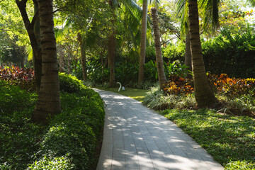 Green tropical landscaped garden with palm trees and flowers on a sunny summer day