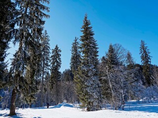 Spitzingsee in Bavarian Alps. Forested area and breathtaking snow-covered natural landscapes bordering the frozen lake in the shadow of the mountains
