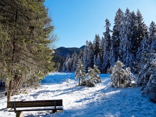 Spitzingsee in Bavarian Alps. Snowy landscape and wooded area around the lake offer peaceful walks with benches where it is pleasant to rest while admiring a winter scenery
