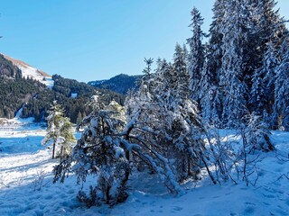Spitzingsee in Bavarian Alps - Landscape of wooded and snow-covered meadows offering magnificent view of the Rauhkopf summit from the seeweg bordering the frozen lake
