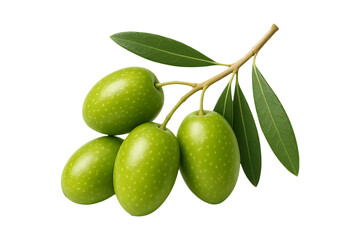 Fresh Green Olives On Branch Mediterranean Fruit Isolated on a Transparent Background