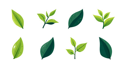 Collection of diverse green leaves and fresh foliage illustrations, depicting natural botanical elements in various shades and shapes, perfect for design.