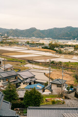 rice fields on Shikoku island in Japan