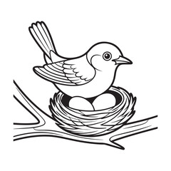 Bird on nest with eggs