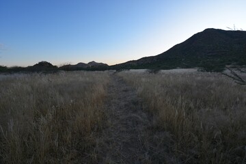 Obraz premium Landschaft im Erongo Gebirge im Abendlicht (Namibia)