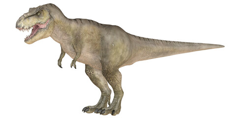 Fototapeta premium Realistic dinosaur standing on white background
