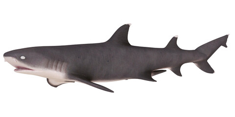 Obraz premium Realistic model of a great white shark