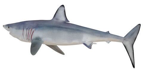 Fototapeta premium Realistic shark figurine on a plain background.