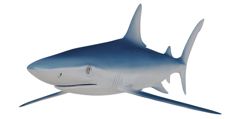 Fototapeta premium Illustration of a sleek blue shark in motion