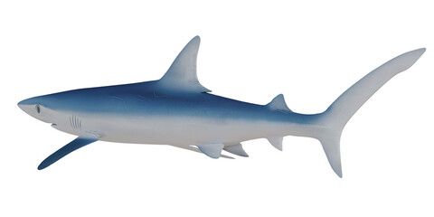 Obraz premium Realistic depiction of a sleek shark model