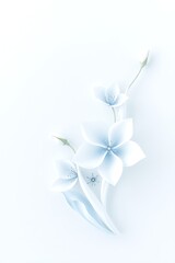 Fototapeta premium Minimal Eucalyptus Leaves on White Background – Clean Botanical Nature Concept