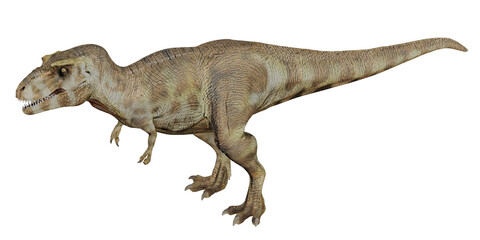 Naklejka premium Realistic Tyrannosaurus rex model illustration