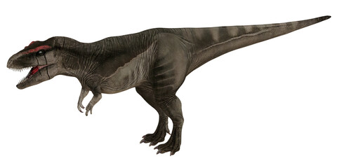 Fototapeta premium Realistic depiction of a Tyrannosaurus rex dinosaur.