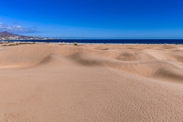 Golden sand dunes roll toward the Atlantic near Maspalomas on Gran Canaria. Midday light defines...