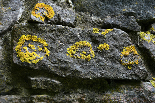 stone stones rock boulder bedrock granite basalt masonry wall cracks roughness texture surface unevenness grit dust grains moss lichen yellow golden bright spots circles patterns rings spirals abstrac