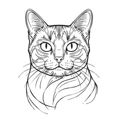 Obraz premium black cat vector illustration