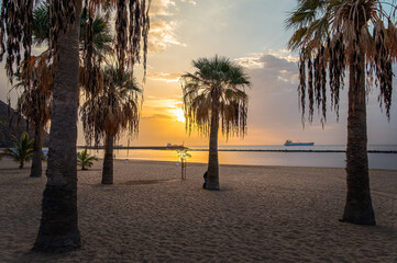 Landscape with Las teresitas beach at sunrise, Tenerife, Canary Islands, Spain