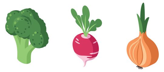 Broccoli, radish, and onion: fresh vegetable trio illustration