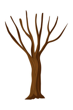 brown tree with bare branches and trunk transparent background