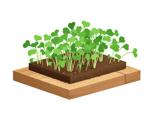 Lush sprouts grow in soil atop a wooden board. Small green plants. Simple illustration