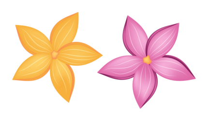 orange and pink flowers on white background transparent background