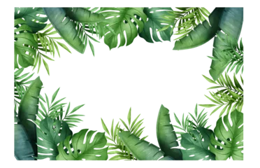 Fotobehang Tropisch tropical leaves frame border green foliage  monstera palm trees transparent background  © AbstractZone