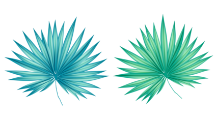 tropical leaves in blue and green hues on transparent background transparent background