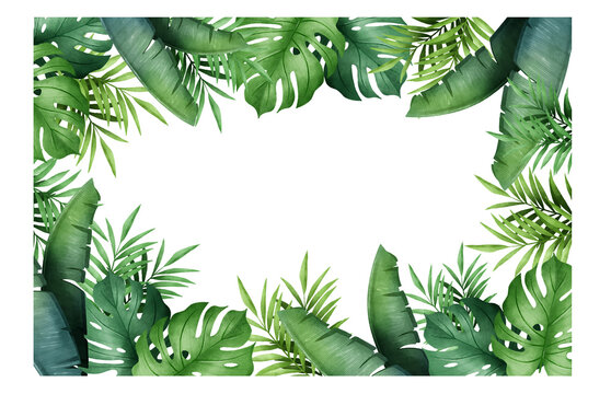 tropical leaves frame border green foliage  monstera palm trees transparent background