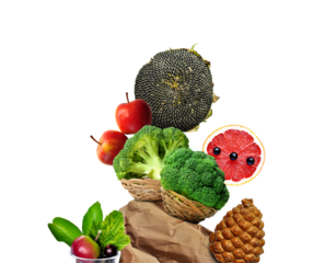 Food combination, pyramid shape. Vegetables, fruits abstract background. Apples, broccoli, seeds, grapefruits. Healthy, nutritious food selection. Vegan food, Body cleansing, obesity reduction. PNG