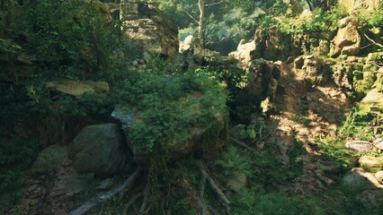 In a lush forest scene, sunlight filters through the canopy, illuminating rocks and vibrant greenery. The tranquil atmosphere invites exploration and reflection among the bountiful nature.