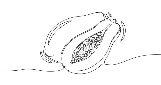 Line art of a papaya with seeds on abstract background. No editable strokes