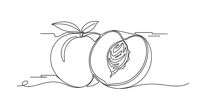 Minimalist continuous line drawing of whole and sliced peach. No editable strokes