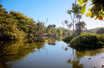 Boardwalks and shops surrounding a lagoon and estuary behind Amber Cove in the Dominican Republic featuring lush greenery and egrets.
