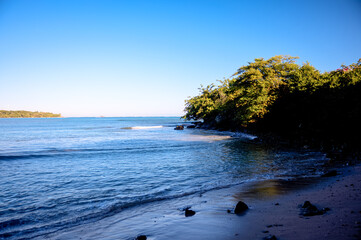 The grounds, pool and beach of the Senator Peurto Plata Hotel in the Dominican Republic, surrounded by palm trees under clear blue skies.
