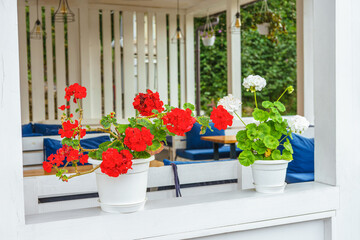 Cozy outdoor cafe, bistro or restaurant terrace exterior decorated with blooming flowers in pots. Summer restaurant seating, relaxing atmosphere, urban leisure space with fresh floral decor.